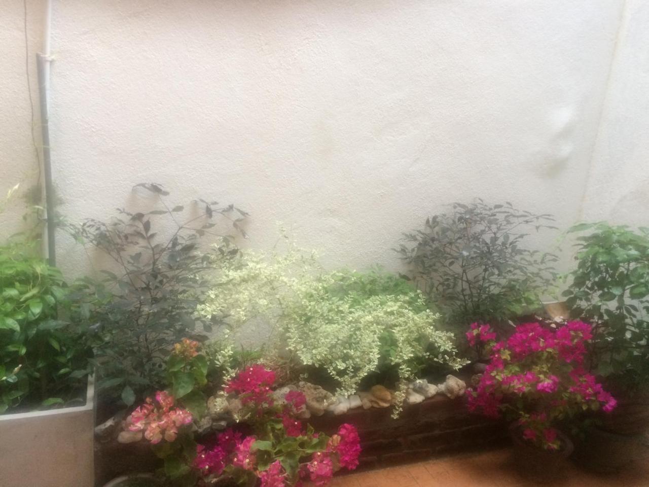 Secret Palace Guest House Galle Exterior foto